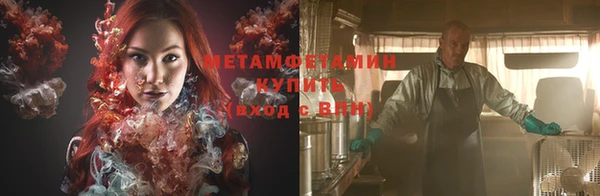 стаф Новокубанск