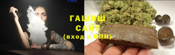 стаф Новокубанск