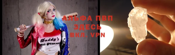 стаф Новокубанск