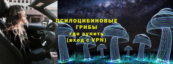 стаф Новокубанск