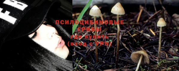 прущие крисы Новодвинск