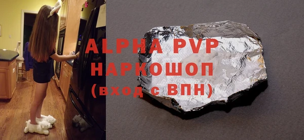 стаф Новокубанск