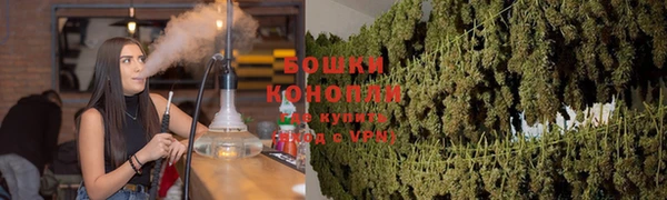 стаф Новокубанск