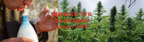 прущие крисы Новодвинск