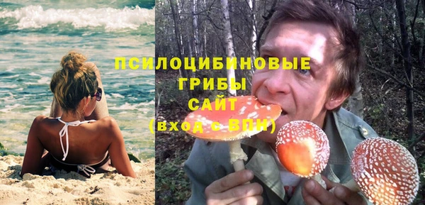 стаф Новокубанск