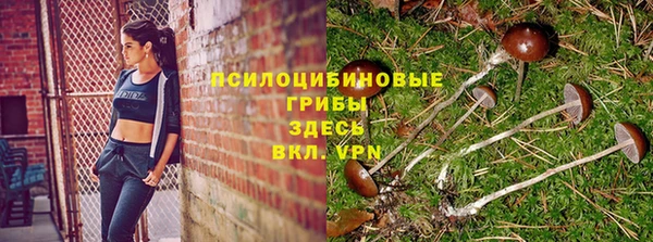 метадон Новозыбков